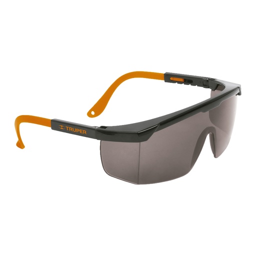 [LEN-2000N] Lentes de seguridad ajustables, mica gris, Classic