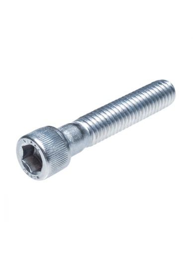 04-019 TORNILLO CILINDRICO  T304INOX 20H1/4X1