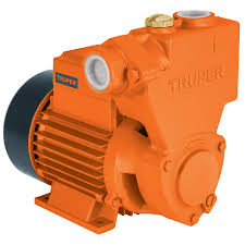 Bomba elÈctrica perifÈrica autocebante para agua 1/2 HP  12780  TRUPER 