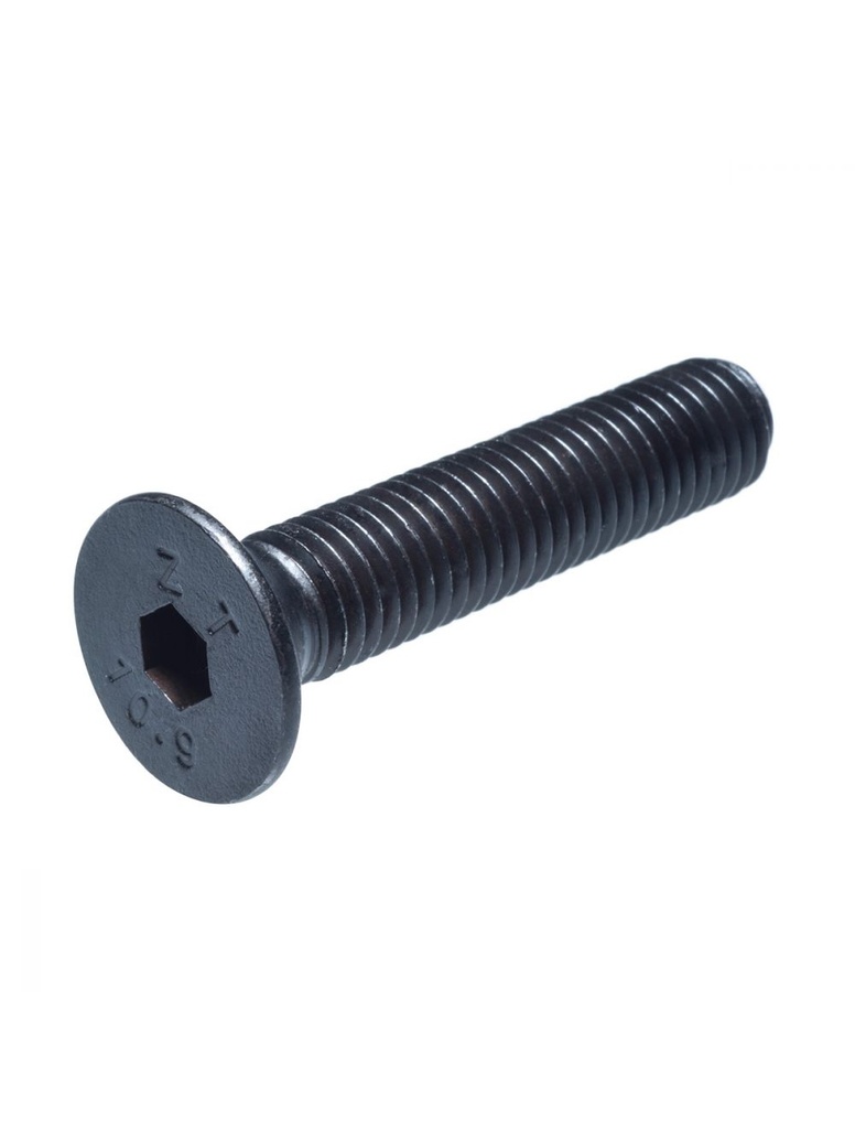 04-007-6X30 TORNILLO ALLEN CABEZA PLANA MM P1.00 PAVONADO 6x30